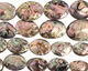 Abalone Flat Oval Graduated 28-49x20-35mm