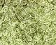 TOHO Transparent Citrus Spritz Round 11/0 Seed Bead