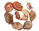 Banded Red Agate Freeform Pieces Graduated 29-50x20x44mm
