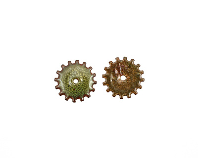 C-Koop Enameled Metal Olive Closed Gear 19mm