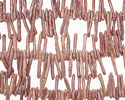 Angel Skin Pink Biwa Stick Top-Drilled 21-36mm