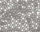 TOHO Transparent Frosted Light Gray Round 11/0 Seed Bead