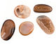 Druzy Undrilled Freeform Pieces 20-40mm