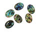Abalone Oval Cabochon 13x18mm