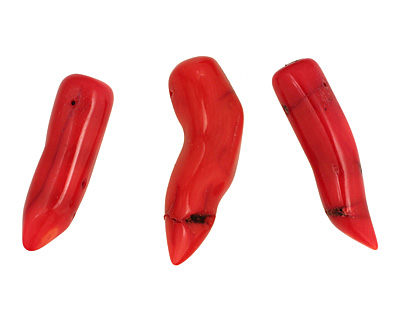 Coral Horn 12-14x37-43mm