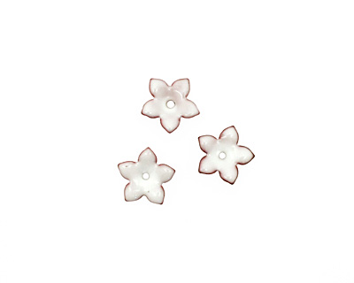 C-Koop Enameled Metal White Small 5 Petal 12mm