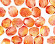 Czech Fire Polished Glass Dual Coated Fuschia/Lemon Round 4mm