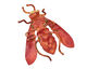 Patricia Healey Copper Fly Pendant 43x51mm