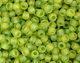 TOHO Transparent Rainbow Frosted Lime Green Round 11/0 Seed Bead