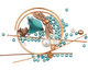See the Components