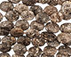 Turritella Agate Flat Oval 25-30x20mm