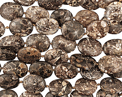 Turritella Agate Flat Oval 25-30x20mm