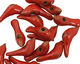 Kylie Parry Ceramic Cardinal Tiny Bird 8x19mm