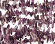 Dogtooth Amethyst Stick 3-7x12-24mm