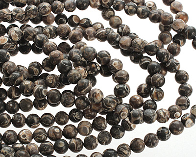 Turritella Agate (matte) Round 5-6mm