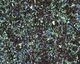 Holly Vintage Glass Glitter (Fine) 1 oz.