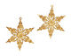 Brass Poinsettia Filigree 42x51mm