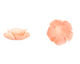 Coral (imitation), Angel Skin Pink Carved Rose 25mm