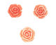 Coral (imitation), Angel Skin Pink Carved Rose 25mm
