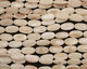 White Fresh Water Shell Flat Oval 20x10mm