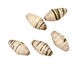 African Paper (ivory, olive, w/black & red) Rice 20x10-11mm