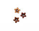 C-Koop Enameled Metal Wisteria Purple Small 5 Petal 12mm