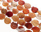 Carnelian (natural) Ammonite 21-25mm