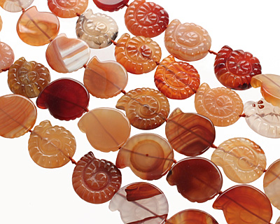 Carnelian (natural) Ammonite 21-25mm