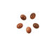 Goldstone Oval Cabochon 8x10mm