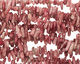 Strawberry Quartz (natural) Stick 4-6x11-19mm