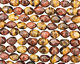 Tiger Eye (multi) Faceted Tumbled Nugget 14-17x12-13mm