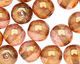 Czech Glass Luster Rose/Gold Topaz Round 6mm