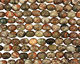 Red Forest Agate Tumbled Nugget 15-17x12-13mm