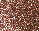 TOHO Amethyst (with Silver Lining) Round 15/0 Seed Bead