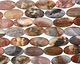 Rainbow Amazonite Flat Oval 40x20mm