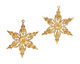 Brass Poinsettia Filigree 42x51mm