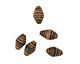 African Paper (beige, teal stripe) Rice 15x8-9mm