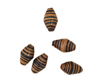 African Paper (beige, teal stripe) Rice 15x8-9mm