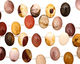 Mookaite Flat Oval Drop 13x18mm