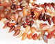 Carnelian (natural-matte) Horn 9-13x20-24mm