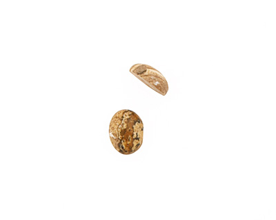 Picture Jasper Oval Cabochon 8x10mm