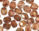 Czech Fire Polished Glass Luster Transparent Gold/Smoky Topaz Round 3mm