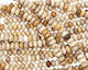 Fossil Coral Rondelle 8mm