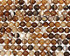 Amber Line Agate Faceted Round 10mm