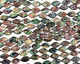 Abalone Horse Eye 18x10mm