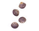 African Paper (violet) Bicone 14-15x16-17mm