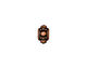TierraCast Antique Copper (plated) Turkish Euro 5x10mm