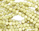 Natural Lemon Jade Tumbled Nugget 8-9mm