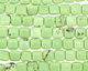 Apple Green Turquoise Puff Square 12mm