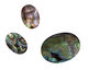 Abalone Oval Cabochon 13x18mm